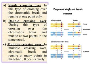 a) Single crossing over In
this type of crossing over
the chromatids break and
reunite at one point only.
b) Double crossing over
crossing over
During this type of
the
chromatids break and
reunite at two points in the
same tetrad.
c) Multiple crossing over: In
multiple crossing over,
chromatid break and
reunite at many points in
the tetrad . It occurs rarely.
 