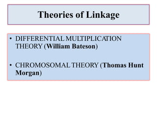 Theories of Linkage
• DIFFERENTIAL MULTIPLICA
TION
THEORY (William Bateson)
• CHROMOSOMALTHEORY (Thomas Hunt
Morgan)
 