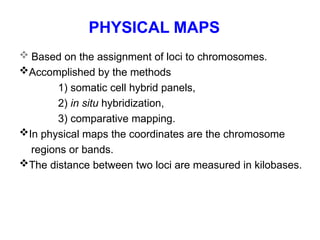 PHYSICAL MAPS
 Based on the assignment of loci to chromosomes.
Accomplished by the methods
1) somatic cell hybrid panels,
2) in situ hybridization,
3) comparative mapping.
In physical maps the coordinates are the chromosome
regions or bands.
The distance between two loci are measured in kilobases.
 