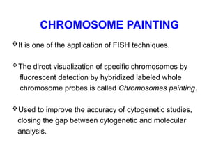 CHROMOSOME PAINTING
It is one of the application of FISH techniques.
The direct visualization of specific chromosomes by
fluorescent detection by hybridized labeled whole
chromosome probes is called Chromosomes painting.
Used to improve the accuracy of cytogenetic studies,
closing the gap between cytogenetic and molecular
analysis.
 