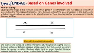 Linkage-GBR.pdf