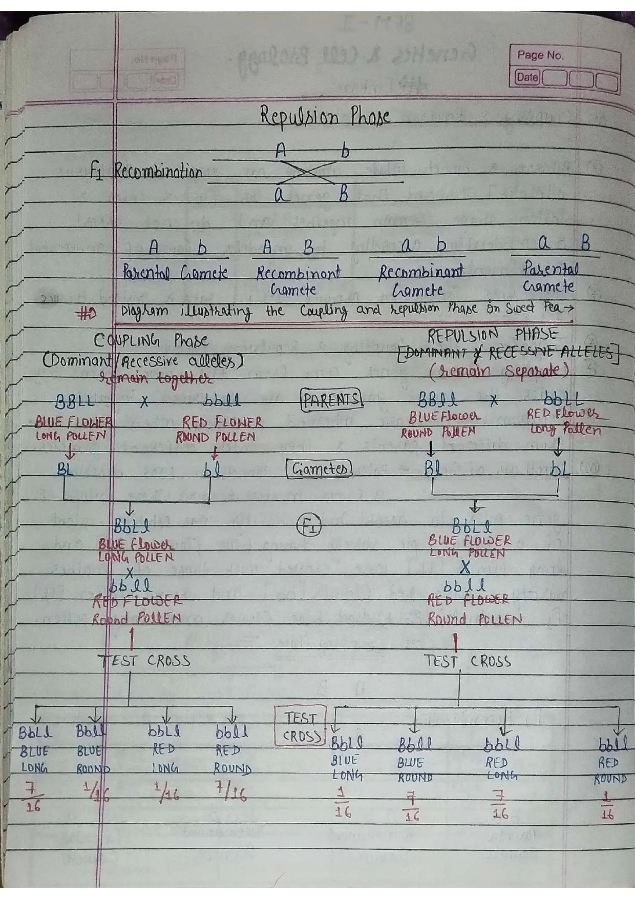 Linkage In Genetics Notes.pdf Linkage-Genetics & Cell Biology-1(B.sc 2 Semester) .pdf