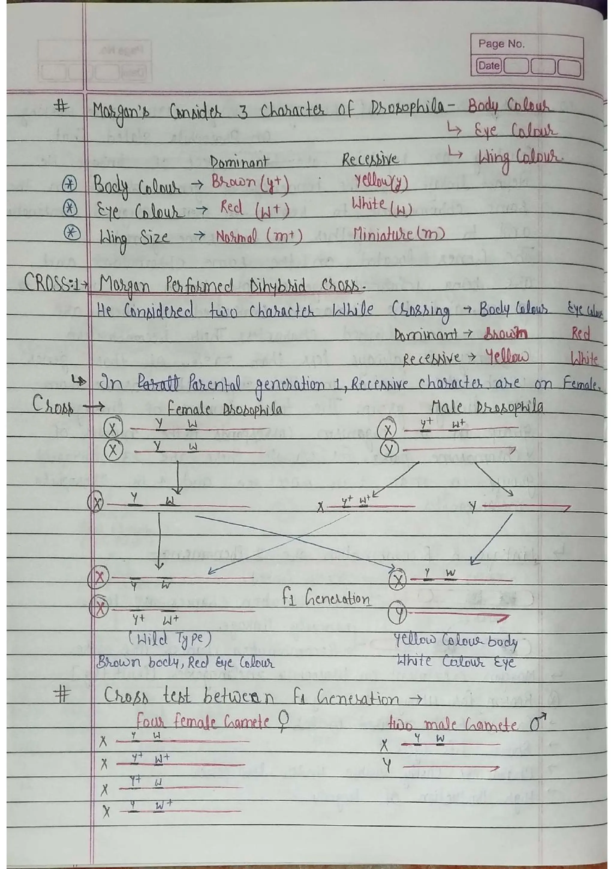Linkage In Genetics Notes.pdf Linkage-Genetics & Cell Biology-1(B.sc 2 Semester) .pdf