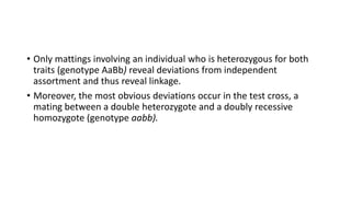 • Only mattings involving an individual who is heterozygous for both
traits (genotype AaBb) reveal deviations from independent
assortment and thus reveal linkage.
• Moreover, the most obvious deviations occur in the test cross, a
mating between a double heterozygote and a doubly recessive
homozygote (genotype aabb).
 