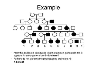 Example
– After the disease is introduced into the family in generation #2, it
appears in every generation  dominant!
– Fathers do not transmit the phenotype to their sons 
X-linked!
1 2 3 4 5 6 7 8 9 10
 