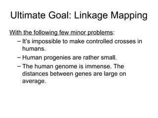 Ultimate Goal: Linkage Mapping
With the following few minor problems:
– It’s impossible to make controlled crosses in
humans.
– Human progenies are rather small.
– The human genome is immense. The
distances between genes are large on
average.
 