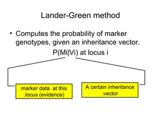Lander-Green method
• Computes the probability of marker
genotypes, given an inheritance vector.
P(Mi|Vi) at locus i
marker data at this
locus (evidence)
.
A certain inheritance
vector
.
 