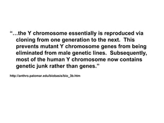 “…the Y chromosome essentially is reproduced via
cloning from one generation to the next. This
prevents mutant Y chromosome genes from being
eliminated from male genetic lines. Subsequently,
most of the human Y chromosome now contains
genetic junk rather than genes.”
http://anthro.palomar.edu/biobasis/bio_3b.htm
 