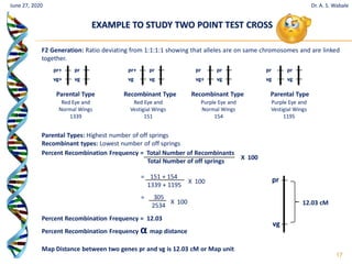 17
F2 Generation: Ratio deviating from 1:1:1:1 showing that alleles are on same chromosomes and are linked
together.
pr+
vg+
pr
vg
pr+
vg
pr
vg
pr
vg+
pr
vg
pr
vg
pr
vg
Parental Type Parental Type
Recombinant Type Recombinant Type
Red Eye and
Normal Wings
1339
Purple Eye and
Vestigial Wings
1195
Red Eye and
Vestigial Wings
151
Purple Eye and
Normal Wings
154
Parental Types: Highest number of off springs
Recombinant types: Lowest number of off springs
Percent Recombination Frequency = Total Number of Recombinants
Total Number of off springs
X 100
= 151 + 154
1339 + 1195
X 100
= 305
2534
X 100
Percent Recombination Frequency = 12.03
Percent Recombination Frequency α map distance
Map Distance between two genes pr and vg is 12.03 cM or Map unit
EXAMPLE TO STUDY TWO POINT TEST CROSS
June 27, 2020
pr
vg
12.03 cM
Dr. A. S. Wabale
 