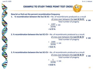 23
June 27, 2020 Dr. A. S. Wabale
2. % recombination between the loci EC-CV = No. of recombinants produced as a result
of cross over between the Loci EC & CV
Total number of progeny
= 1999
20785
= 9.61 %
X 100
X 100
3. % recombination between the loci SC-CV = No. of recombinants produced as a result
of cross over between the Loci SC & CV
Total number of progeny
= 5
20785
= 0.02 %
X 100
X 100
EXAMPLE TO STUDY THREE POINT TEST CROSS
Now let us find out the percent recombination frequency
1. % recombination between the loci SC-EC = No. of recombinants produced as a result
of cross over between the Loci SC & EC
Total number of progeny
= 1397
20785
= 6.72 %
X 100
X 100
 