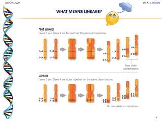 4
June 27, 2020
WHAT MEANS LINKAGE?
Dr. A. S. Wabale
 