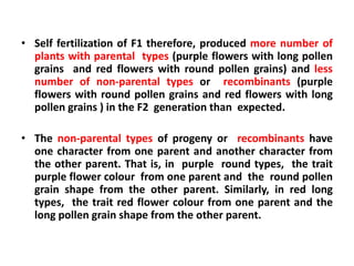 • Self fertilization of F1 therefore, produced more number of
plants with parental types (purple flowers with long pollen
grains and red flowers with round pollen grains) and less
number of non-parental types or recombinants (purple
flowers with round pollen grains and red flowers with long
pollen grains ) in the F2 generation than expected.
• The non-parental types of progeny or recombinants have
one character from one parent and another character from
the other parent. That is, in purple round types, the trait
purple flower colour from one parent and the round pollen
grain shape from the other parent. Similarly, in red long
types, the trait red flower colour from one parent and the
long pollen grain shape from the other parent.
 