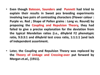 • Even though Bateson, Saunders and Punnett had tried to
explain their results in Sweet pea breeding experiments
involving two pairs of contrasting characters (Flower colour :
Purple vs. Red ; Shape of Pollen grains : Long vs. Round) by
proposing the Coupling and Repulsion Theory, they had
failed to give a precise explanation for the deviation from
the typical Mendelian ratios (i.e., dihybrid F2 phenotypic
ratio, 9:3:3:1 and dihybrid test cross ratio, 1:1:1:1 )and lack
of independent assortment.
• Later, the Coupling and Repulsion Theory was replaced by
the Theory of Linkage and Crossing-over put forward by
Morgan et.al., (1911).
 