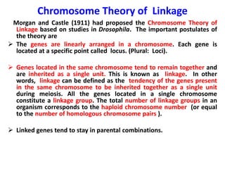 Chromosome Theory of Linkage
Morgan and Castle (1911) had proposed the Chromosome Theory of
Linkage based on studies in Drosophila. The important postulates of
the theory are
 The genes are linearly arranged in a chromosome. Each gene is
located at a specific point called locus. (Plural: Loci).
 Genes located in the same chromosome tend to remain together and
are inherited as a single unit. This is known as linkage. In other
words, linkage can be defined as the tendency of the genes present
in the same chromosome to be inherited together as a single unit
during meiosis. All the genes located in a single chromosome
constitute a linkage group. The total number of linkage groups in an
organism corresponds to the haploid chromosome number (or equal
to the number of homologous chromosome pairs ).
 Linked genes tend to stay in parental combinations.
 