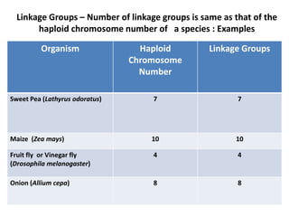 Linkage Groups – Number of linkage groups is same as that of the
haploid chromosome number of a species : Examples
Organism Haploid
Chromosome
Number
Linkage Groups
Sweet Pea (Lathyrus odoratus) 7 7
Maize (Zea mays) 10 10
Fruit fly or Vinegar fly
(Drosophila melanogaster)
4 4
Onion (Allium cepa) 8 8
 