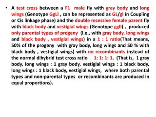 • A test cross between a F1 male fly with gray body and long
wings (Genotype GgLl , can be represented as GL/gl in Coupling
or Cis linkage phase) and the double recessive female parent fly
with black body and vestigial wings (Genotype ggll) , produced
only parental types of progeny (i.e., with gray body, long wings
and black body , vestigial wings) in a 1 : 1 ratio(That means,
50% of the progeny with gray body, long wings and 50 % with
black body , vestigial wings) with no recombinants instead of
the normal dihybrid test cross ratio 1: 1: 1: 1. (That is, 1 gray
body, long wings : 1 gray body, vestigial wings : 1 black body,
long wings : 1 black body, vestigial wings, where both parental
types and non-parental types or recombinants are produced in
equal proportions).
 
