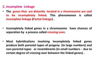 2. Incomplete Linkage
• The genes that are distantly located in a chromosome are said
to be incompletely linked. This phenomenon is called
incomplete linkage (Partial linkage) .
• Incompletely linked genes in a chromosome have chances of
separation by a process called crossing-over.
• Most hybridizations involving incompletely linked genes
produce both parental types of progeny (in large numbers) and
non-parental types or recombinants (in small numbers - due to
certain degree of crossing-over between the linked genes) .
 