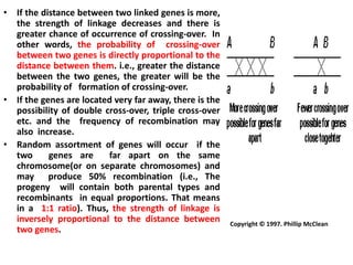 Copyright © 1997. Phillip McClean
• If the distance between two linked genes is more,
the strength of linkage decreases and there is
greater chance of occurrence of crossing-over. In
other words, the probability of crossing-over
between two genes is directly proportional to the
distance between them. i.e., greater the distance
between the two genes, the greater will be the
probability of formation of crossing-over.
• If the genes are located very far away, there is the
possibility of double cross-over, triple cross-over
etc. and the frequency of recombination may
also increase.
• Random assortment of genes will occur if the
two genes are far apart on the same
chromosome(or on separate chromosomes) and
may produce 50% recombination (i.e., The
progeny will contain both parental types and
recombinants in equal proportions. That means
in a 1:1 ratio). Thus, the strength of linkage is
inversely proportional to the distance between
two genes.
 