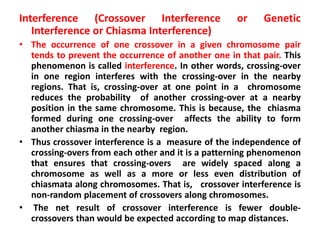 Interference (Crossover Interference or Genetic
Interference or Chiasma Interference)
• The occurrence of one crossover in a given chromosome pair
tends to prevent the occurrence of another one in that pair. This
phenomenon is called interference. In other words, crossing-over
in one region interferes with the crossing-over in the nearby
regions. That is, crossing-over at one point in a chromosome
reduces the probability of another crossing-over at a nearby
position in the same chromosome. This is because, the chiasma
formed during one crossing-over affects the ability to form
another chiasma in the nearby region.
• Thus crossover interference is a measure of the independence of
crossing-overs from each other and it is a patterning phenomenon
that ensures that crossing-overs are widely spaced along a
chromosome as well as a more or less even distribution of
chiasmata along chromosomes. That is, crossover interference is
non-random placement of crossovers along chromosomes.
• The net result of crossover interference is fewer double-
crossovers than would be expected according to map distances.
 