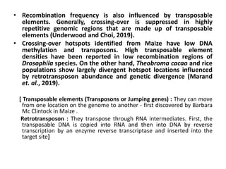 • Recombination frequency is also influenced by transposable
elements. Generally, crossing-over is suppressed in highly
repetitive genomic regions that are made up of transposable
elements (Underwood and Choi, 2019).
• Crossing-over hotspots identified from Maize have low DNA
methylation and transposons. High transposable element
densities have been reported in low recombination regions of
Drosophila species. On the other hand, Theobroma cacao and rice
populations show largely divergent hotspot locations influenced
by retrotransposon abundance and genetic divergence (Marand
et. al., 2019).
[ Transposable elements (Transposons or Jumping genes) : They can move
from one location on the genome to another - first discovered by Barbara
Mc Clintock in Maize .
Retrotransposon : They transpose through RNA intermediates. First, the
transposable DNA is copied into RNA and then into DNA by reverse
transcription by an enzyme reverse transcriptase and inserted into the
target site]
 