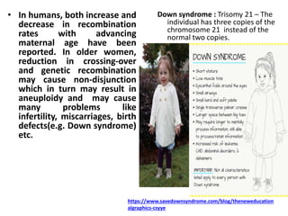 • In humans, both increase and
decrease in recombination
rates with advancing
maternal age have been
reported. In older women,
reduction in crossing-over
and genetic recombination
may cause non-disjunction
which in turn may result in
aneuploidy and may cause
many problems like
infertility, miscarriages, birth
defects(e.g. Down syndrome)
etc.
Down syndrome : Trisomy 21 – The
individual has three copies of the
chromosome 21 instead of the
normal two copies.
https://www.savedownsyndrome.com/blog/theneweducation
algraphics-csyye
 