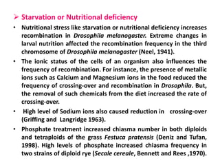  Starvation or Nutritional deficiency
• Nutritional stress like starvation or nutritional deficiency increases
recombination in Drosophila melanogaster. Extreme changes in
larval nutrition affected the recombination frequency in the third
chromosome of Drosophila melanogaster (Neel, 1941).
• The ionic status of the cells of an organism also influences the
frequency of recombination. For instance, the presence of metallic
ions such as Calcium and Magnesium ions in the food reduced the
frequency of crossing-over and recombination in Drosophila. But,
the removal of such chemicals from the diet increased the rate of
crossing-over.
• High level of Sodium ions also caused reduction in crossing-over
(Griffing and Langridge 1963).
• Phosphate treatment increased chiasma number in both diploids
and tetraploids of the grass Festuca pratensis (Deniz and Tufan,
1998). High levels of phosphate increased chiasma frequency in
two strains of diploid rye (Secale cereale, Bennett and Rees ,1970).
 