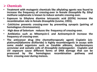  Chemicals
• Treatment with mutagenic chemicals like alkylating agents was found to
increase the frequency of crossing-over in female Drosophila fly. Ethyl
methane sulphonate is known to induce somatic crossing-over.
• Exposure to Ethylene diamine tetraacetic acid (EDTA) increase the
recombination rate in female Drosophila (Levine, 1955).
• Colchicine prevents crossing-over by preventing synapsis (pairing of
homologous chromosomes).
• High dose of Selenium reduces the frequency of crossing-over.
• Antibiotics such as Mitomycin-C and Actinomycin-D increase the
frequency of crossing-over.
• The anticancer drug (the chemotherapeutic agent) Cisplatin (cis-
platinum(II)diamine dichloride) is highly recombinogenic in assays with
some model organisms such as Candida albicans, Saccharomyces
cerevisiae and somatic cells of Drosophila melanogaster. Cisplatin and
UV exposure cause different forms of DNA damage that can be
processed by the homologous recombination pathway and
form crossing-over during meiosis.
 