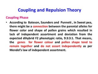 Coupling and Repulsion Theory
Coupling Phase
• According to Bateson, Saunders and Punnett , in Sweet pea,
there might be a connection between the parental alleles for
flower color and shape of pollen grains which resulted in
lack of independent assortment and deviation from the
expected dihybrid F2 phenotypic ratio, 9:3:3:1. That means,
the genes for flower colour and pollen shape tend to
remain together and do not assort independently as per
Mendel’s law of independent assortment.
 