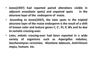 • Jones(1937) had reported paired alterations visible in
adjacent areas(twin spots) and unpaired spots in the
aleurone layer of the endosperm of maize.
• According to Jones(1937), the twin spots in the triploid
aleurone layer of the maize endosperm is the result of a shift
of known color and texture genes C, C', Pr, P, Wx and Su due
to somatic crossing-over.
• Later, mitotic crossing-over had been reported in a wide
variety of organisms such as Aspergillus nidulans,
Saccharomyces cerevisiae, Nicotiana tabacum, Antirrhinum
majus, humans etc.
 