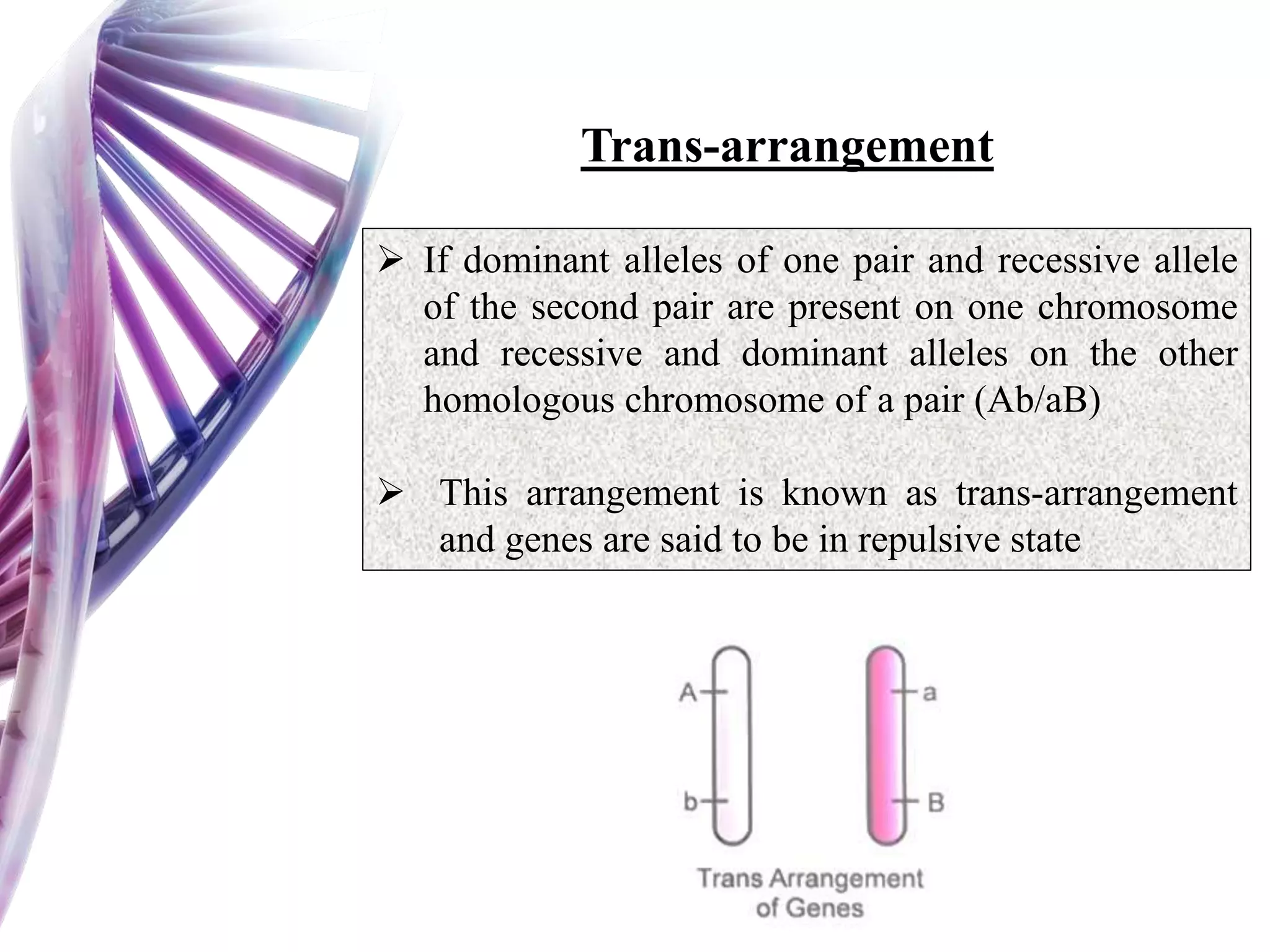  If dominant alleles of one pair and recessive allele
of the second pair are present on one chromosome
and recessive and dominant alleles on the other
homologous chromosome of a pair (Ab/aB)
 This arrangement is known as trans-arrangement
and genes are said to be in repulsive state
Trans-arrangement
 