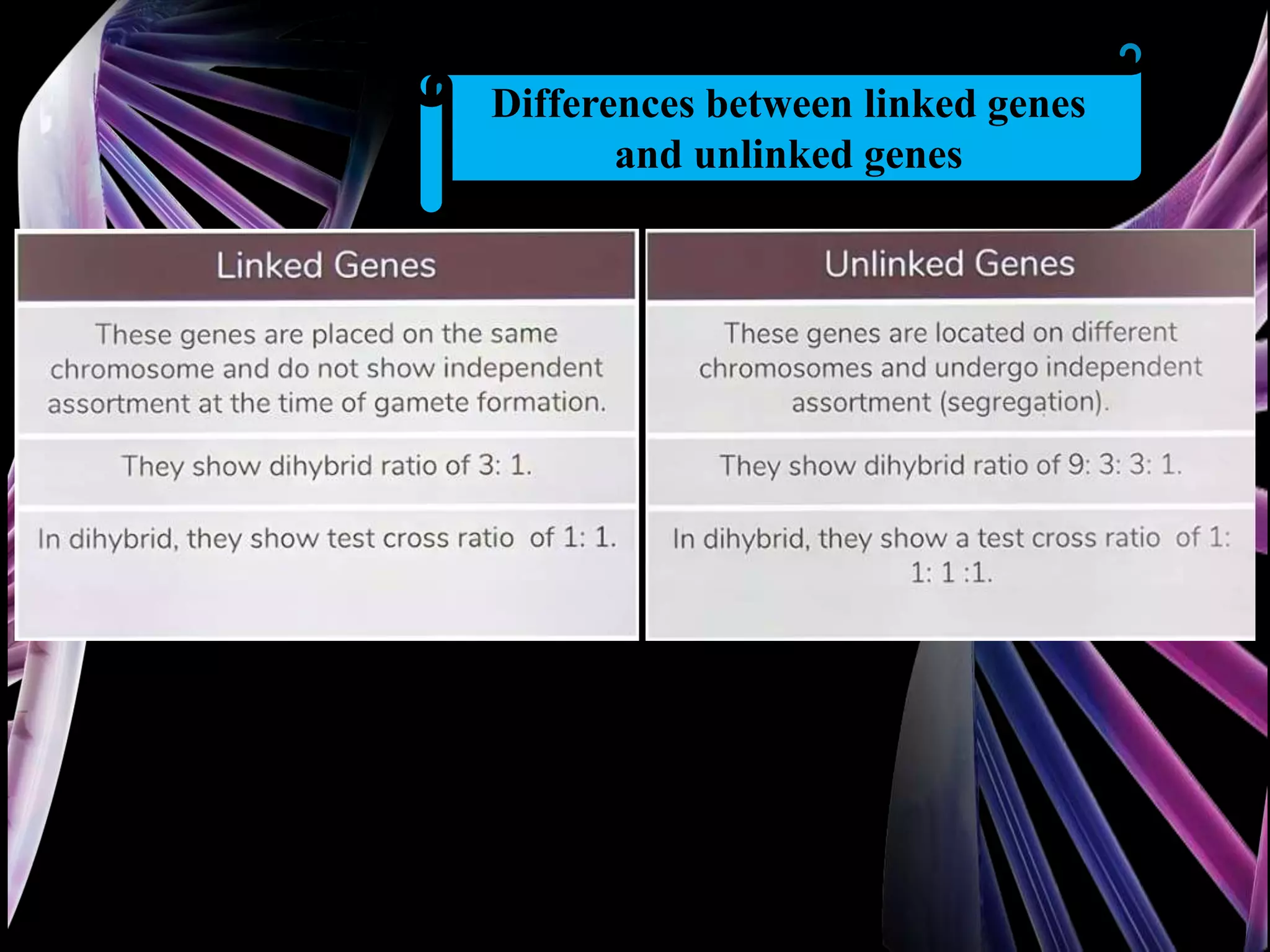 Differences between linked genes
and unlinked genes
 
