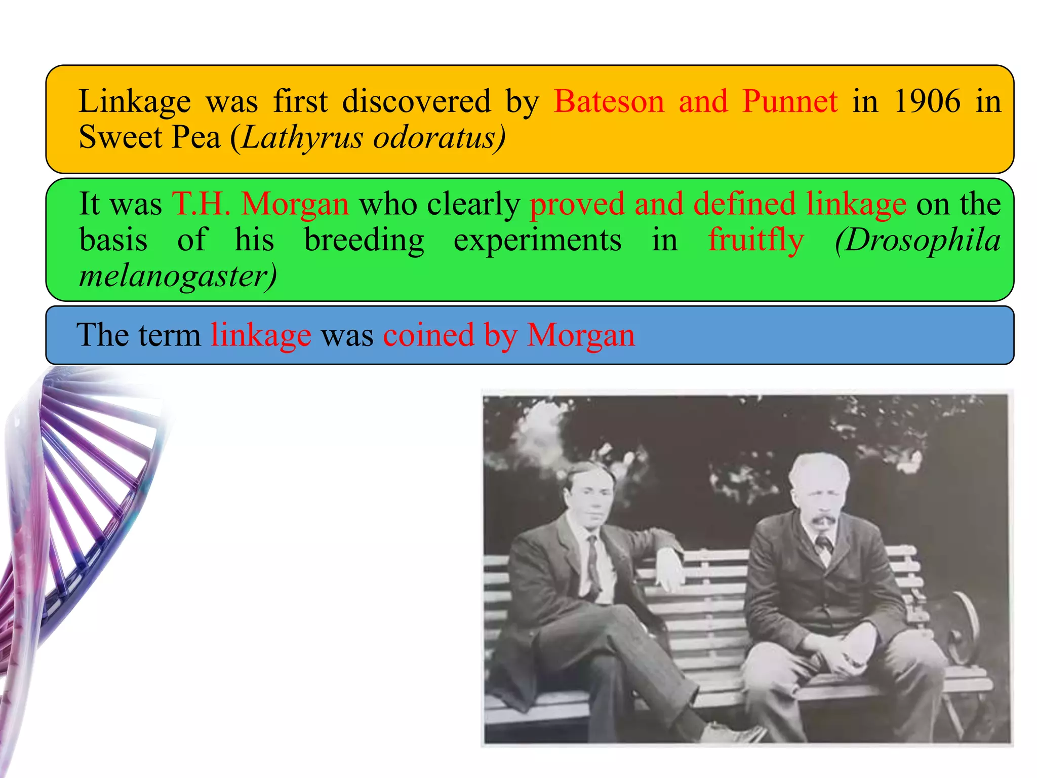 Linkage was first discovered by Bateson and Punnet in 1906 in
Sweet Pea (Lathyrus odoratus)
It was T.H. Morgan who clearly proved and defined linkage on the
basis of his breeding experiments in fruitfly (Drosophila
melanogaster)
The term linkage was coined by Morgan
 