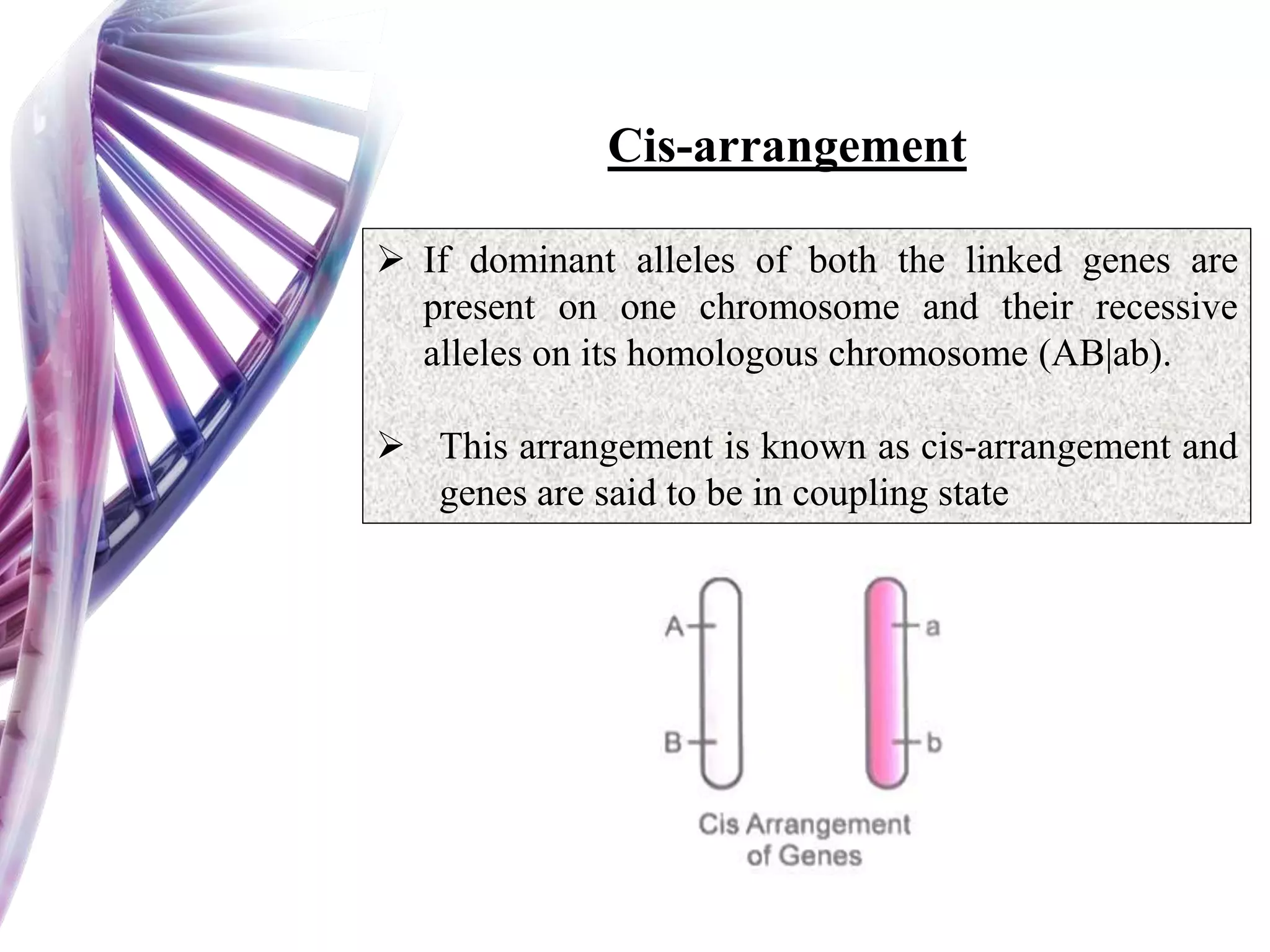  If dominant alleles of both the linked genes are
present on one chromosome and their recessive
alleles on its homologous chromosome (AB|ab).
 This arrangement is known as cis-arrangement and
genes are said to be in coupling state
Cis-arrangement
 