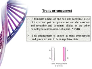 Linkage and Crossing over (Sanjay Chetry).pptx