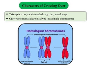 Linkage and Crossing over (Sanjay Chetry).pptx