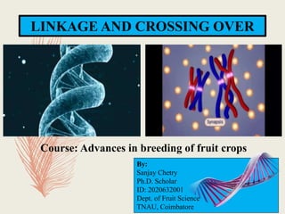 LINKAGE AND CROSSING OVER
Course: Advances in breeding of fruit crops
By:
Sanjay Chetry
Ph.D. Scholar
ID: 2020632001
Dept. of Fruit Science
TNAU, Coimbatore
 