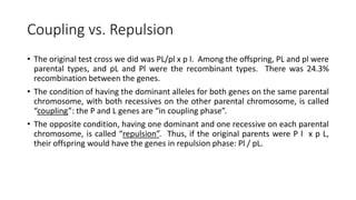 Coupling vs. Repulsion
• The original test cross we did was PL/pl x p l. Among the offspring, PL and pl were
parental types, and pL and Pl were the recombinant types. There was 24.3%
recombination between the genes.
• The condition of having the dominant alleles for both genes on the same parental
chromosome, with both recessives on the other parental chromosome, is called
“coupling”: the P and L genes are “in coupling phase”.
• The opposite condition, having one dominant and one recessive on each parental
chromosome, is called “repulsion”. Thus, if the original parents were P l x p L,
their offspring would have the genes in repulsion phase: Pl / pL.
 