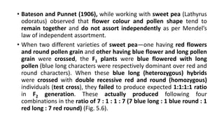 • Bateson and Punnet (1906), while working with sweet pea (Lathyrus
odoratus) observed that flower colour and pollen shape tend to
remain together and do not assort independently as per Mendel’s
law of independent assortment.
• When two different varieties of sweet pea—one having red flowers
and round pollen grain and other having blue flower and long pollen
grain were crossed, the F1 plants were blue flowered with long
pollen (blue long characters were respectively dominant over red and
round characters). When these blue long (heterozygous) hybrids
were crossed with double recessive red and round (homozygous)
individuals (test cross), they failed to produce expected 1:1:1:1 ratio
in F2 generation. These actually produced following four
combinations in the ratio of 7 : 1 : 1 : 7 (7 blue long : 1 blue round : 1
red long : 7 red round) (Fig. 5.6).
 