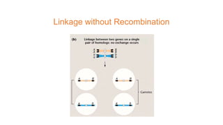 Linkage without Recombination
 