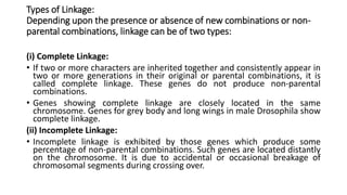 Types of Linkage:
Depending upon the presence or absence of new combinations or non-
parental combinations, linkage can be of two types:
(i) Complete Linkage:
• If two or more characters are inherited together and consistently appear in
two or more generations in their original or parental combinations, it is
called complete linkage. These genes do not produce non-parental
combinations.
• Genes showing complete linkage are closely located in the same
chromosome. Genes for grey body and long wings in male Drosophila show
complete linkage.
(ii) Incomplete Linkage:
• Incomplete linkage is exhibited by those genes which produce some
percentage of non-parental combinations. Such genes are located distantly
on the chromosome. It is due to accidental or occasional breakage of
chromosomal segments during crossing over.
 