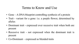Terms to Know and Use
• Gene – A DNA blueprint controlling synthesis of a protein
• Trait - variant for a gene: i.e. a purple flower, determined by
alleles
• Dominant trait - expressed over recessive trait when both are
present
• Recessive trait - not expressed when the dominant trait is
present
• Co-Dominant – expressed as blended traits
 