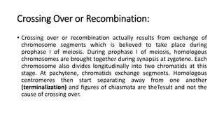 Crossing Over or Recombination:
• Crossing over or recombination actually results from exchange of
chromosome segments which is believed to take place during
prophase I of meiosis. During prophase I of meiosis, homologous
chromosomes are brought together during synapsis at zygotene. Each
chromosome also divides longitudinally into two chromatids at this
stage. At pachytene, chromatids exchange segments. Homologous
centromeres then start separating away from one another
(terminalization) and figures of chiasmata are theTesult and not the
cause of crossing over.
 