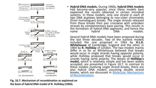 • Hybrid DNA models. During 1960s, hybrid DNA models
had become-very popular, since these models best
explained the results obtained in certain microbial
systems. In these models, only one strand in each of
two DNA duplexes belonging to non-sister chromatids
(from homologues) breaks. The single strands released
from these breaks then pair crosswise with unbroken
strands by complementary base pairing. This results in
the formation of hybrid DNA segments, and hence the
name hybrid DNA models.
Several hybrid DNA models have been proposed during
the last three decades. Two of the earliest models
included the one proposed in 1963 by H.L.K.
Whitehouse of Cambridge, England and the other in
1964 by R. Holliday of London. The two models mainly
differ in so far as Whitehouse believed that breaks
would occur in single strands having opposite polarity,
while Holliday proposed that breaks would occur in
sirands having same polarity. The details of Holliday's
model, which is relatively simple and has been widely
accepted, are presented in Figure 10.7. In contrast to
these models involving single strand breaks, there are
also hybrid DNA models assuming double strand
breaks, which are discussed in Molecular Mechanisms
of Recombination.
Fig. 10.7. Mechanism of recombination as explained on
the basis of hybrid DNA model of R. Holliday (1964).
 