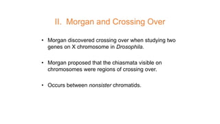 II. Morgan and Crossing Over
• Morgan discovered crossing over when studying two
genes on X chromosome in Drosophila.
• Morgan proposed that the chiasmata visible on
chromosomes were regions of crossing over.
• Occurs between nonsister chromatids.
 