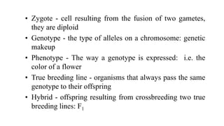 • Zygote - cell resulting from the fusion of two gametes,
they are diploid
• Genotype - the type of alleles on a chromosome: genetic
makeup
• Phenotype - The way a genotype is expressed: i.e. the
color of a flower
• True breeding line - organisms that always pass the same
genotype to their offspring
• Hybrid - offspring resulting from crossbreeding two true
breeding lines: F1
 