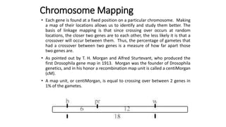 Chromosome Mapping
• Each gene is found at a fixed position on a particular chromosome. Making
a map of their locations allows us to identify and study them better. The
basis of linkage mapping is that since crossing over occurs at random
locations, the closer two genes are to each other, the less likely it is that a
crossover will occur between them. Thus, the percentage of gametes that
had a crossover between two genes is a measure of how far apart those
two genes are.
• As pointed out by T. H. Morgan and Alfred Sturtevant, who produced the
first Drosophila gene map in 1913. Morgan was the founder of Drosophila
genetics, and in his honor a recombination map unit is called a centiMorgan
(cM).
• A map unit, or centiMorgan, is equal to crossing over between 2 genes in
1% of the gametes.
 