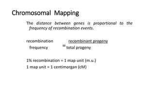 Chromosomal Mapping
The distance between genes is proportional to the
frequency of recombination events.
recombination recombinant progeny
frequency total progeny
1% recombination = 1 map unit (m.u.)
1 map unit = 1 centimorgan (cM)
=
 