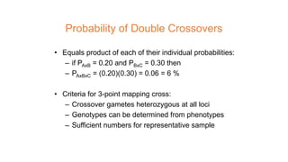Probability of Double Crossovers
• Equals product of each of their individual probabilities:
– if PAxB = 0.20 and PBxC = 0.30 then
– PAxBxC = (0.20)(0.30) = 0.06 = 6 %
• Criteria for 3-point mapping cross:
– Crossover gametes heterozygous at all loci
– Genotypes can be determined from phenotypes
– Sufficient numbers for representative sample
 