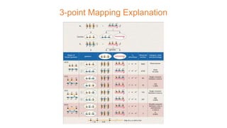 3-point Mapping Explanation
 