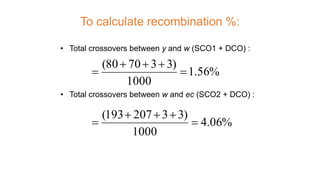 To calculate recombination %:
• Total crossovers between y and w (SCO1 + DCO) :
• Total crossovers between w and ec (SCO2 + DCO) :
%06.4
1000
)33207193(
%56.1
1000
)337080(






 